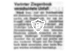 Verirrter Ziegenbock verschuldete Unfall