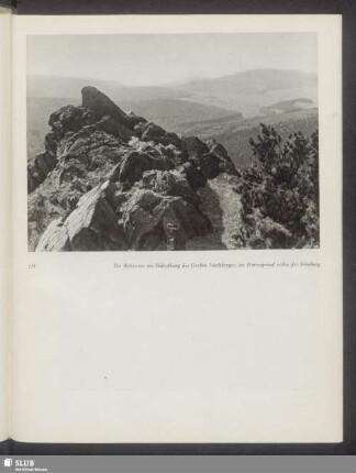 Die Reitsteine am Südosthang des Großen Inselsberges; im Hintergrund rechts der Seimberg
