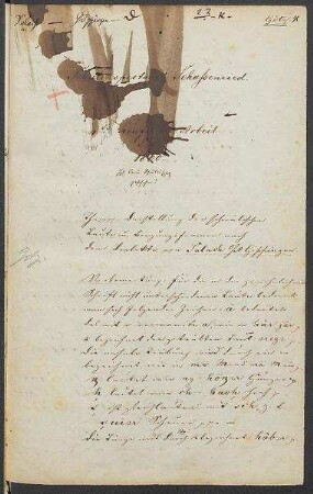 Sprachaufsatz aus Salach OA Göppingen