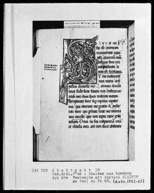 Psalter aus Comburg — Initiale S (alvum me fac), Folio 61verso
