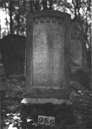 Grabstein 955 (Index: 99899479) Material: Sandstein Zustand: stark verwittert Maße HxBxT: 120x51x16 cm Beschreibung: aufgesockelte Stele mit Segmentbogenabschluss, über der Inschrift Spitzbogenfries Symbolik: Spitzbogenfries: Grabstein 955