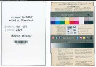 Entnazifizierung Theodor Theisen, geb. 27.12.1912 (Bauschreiner)
