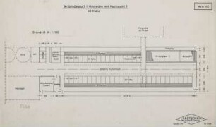 Anbindestall (Milchkühe mit Nachzucht) 40 Kühe (Grundriss M 1 : 100)