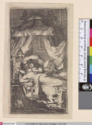 Oproer int Ryck van Mogol (Illustration 9) [Ryck van Mogol]