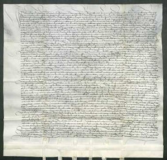 Die Gebrüder Dr. Ulrich, Eberhard, Wilhelm und Georg von Thürheim ("Tu/o/rhain") [Unterthürheim Gde. Buttenwiesen/Lkr. Dillingen] verkaufen dem Heiliggeistspital in Ulm [abgegangen, Bereich Neue Straße, Lagerbuch 261/2 und 254] und seinen Pflegern, den Ulmer Ratsherren Veit Rudolf und Matthäus Laupin ("Lupin"), sowie dem Hofmeister des Spitals Andreas Utzel ihren Halbteil an der Fischweide in Gögglingen ("Go/e/gklingen") [Stadt Ulm] mit Haus, Stadel und einem Korb auf der Hofstatt zwischen dem Gut der Neyffin und der Hofstatt des Johann Kißling. Davon haben sie bisher jährlich 13 Pfund als Zins bezogen. Außerdem verkaufen sie ihnen ihren Halbteil an zwei Wiesen, die ihnen bisher jährlich 14 Gulden Zins ertragen haben, sowie ihren Halbteil an einer Wiese, die derzeit der Ammann zu Gögglingen Leonhard Groß gegen einen jährlichen Zins von 7 Pfund bewirtschaftet. Der andere Halbteil an Fischweide und Wiese gehört bereits dem Spital. Dafür haben die Käufer Georg von Thürheim ein jährliches Leibgeding in Höhe von 60 Gulden und Magdalena von Thürheim, Nonne im Klarissenkloster Königsfelden ("Kunigsvelden") [Gde. Windisch Kanton Aargau/Schweiz], ein Leibgeding in Höhe von 5 Gulden verschrieben.