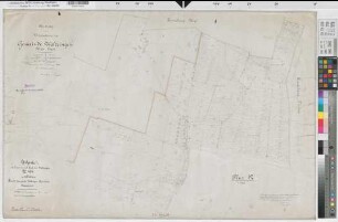 Waltringen (Ense), Zusammenlegung Waltringen, Urkarte I Flur 12,1