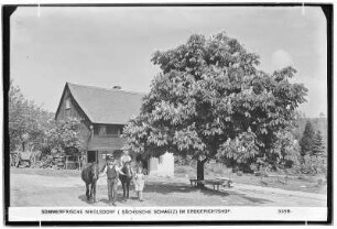 Sommerfrische Nikolsdorf im Erbgerichtshof