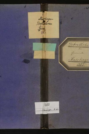 Dekreturenprotokollbuch des Gemeinderats (Anweisungsbuch)