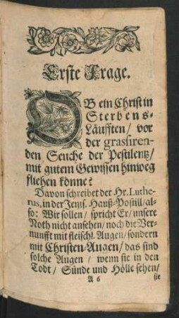 Erste Frage