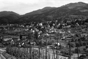 Oberweiler: Blick auf Badenweiler vom Weinberg (Römerberg)