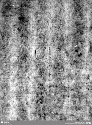 Wasserzeichen S.11_12