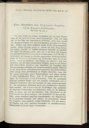 Eine Aberration von ArgynnisPaphia.