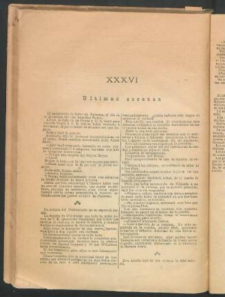 XXXVI Últimas escenas