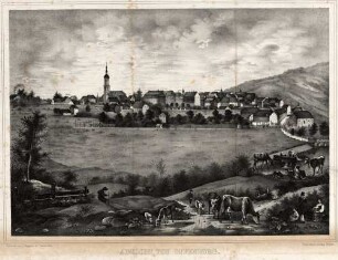 Ansicht von Offenburg