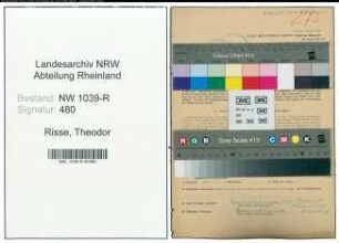 Entnazifizierung Theodor Risse , geb. 00.00.0000 ()