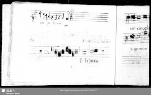 Ludwig Senfl: Missus est angelus Gabriel ad Mariam virginem