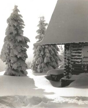 Altenberg. Blockhütte am Waldrand oberhalb des Raupennestes