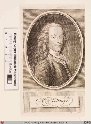 Bildnis Voltaire (eig. François-Marie Arouet)