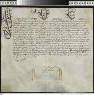 Aussteller: Pius VI. Empfänger: Domkapitel von Kulm. Betreff: Erhebung des Grafen Johann Nepomuck Karl von Hohenzollern-Hechingen zum Bischof von Dibona [Dibon / Dhiban in der römischen Provinz Syria Palaestina] und zum Coadjutor c.i.s. des Andrzej Ignacy z Broniewic Baier, Bischof von Kulm.