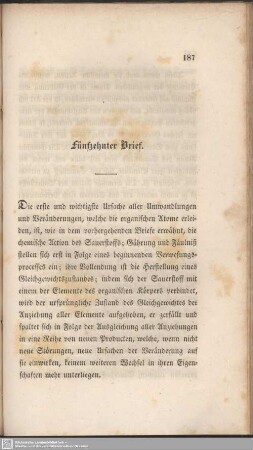Fünfzehnter Brief.