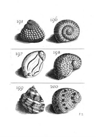 195. - 200.