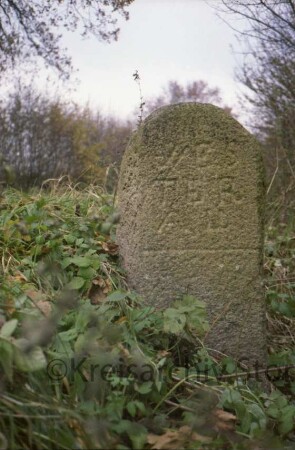 Wirtschaftsweg von Westerau nach Trenthorst: Grenzstein [Nr. 127] zwischen Adligem Gut Trenthorst und Lübschem Stiftsdorf Westerau: Seite Westerau