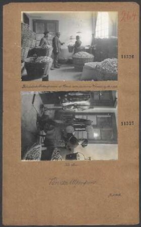 Ital. Seidenspinnerei in Vittorio unter deutscher Verwaltung 14.01.1918