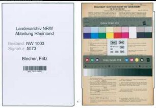 Entnazifizierung Fritz Blecher , geb. 08.03.1889 (Eisenhaendler)