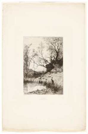 Une mare. Environs de Rossillon Une mare. Environs de Rossillon