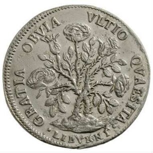 Münze, Pezza della Rosa, 1703