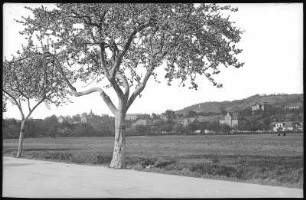 Radebeul. Zitzschewig - von der Meißner Straße