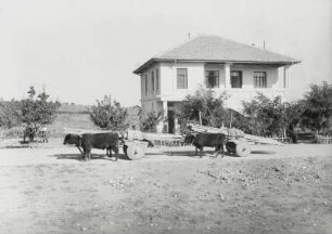 Ochsenkarren mit Baumaterial vor einem Landhaus