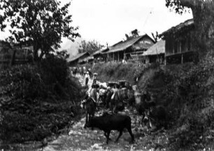Dorfpfad (Deutsche Indien-Expedition 1926/1929 - 3. Myanmar)