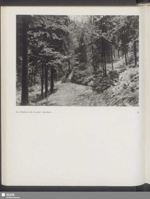Das Marktal nahe Gasthof Auerhahn