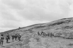 Amhara auf Reisen : Angehörige der Volksgruppe der Amhara auf einer Reise. Zum Teil auf Reittieren, zum Teil zu Fuß