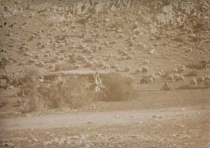 Überweidete Fläche : Westliche Vorberge der Bergkette Binboga Daglari auf 1800 - 1900 Meter Höhe mit Schafherden. Strauch- und Baumarmut durch Überweidung.