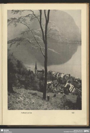 Hallstatt am See