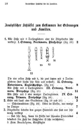 Analytischer Schlüssel zum Bestimmen der Ordnungen und Familien