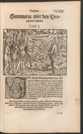 Summaria uber den Propheten Nahum.