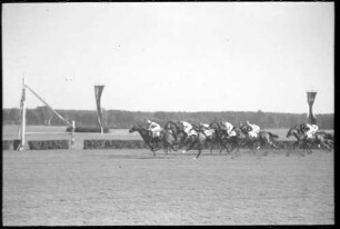 Hoppegarten: Pferde im Rennen am Ziel