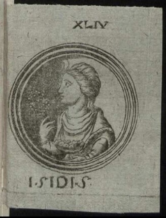 Isis
