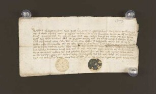 1444.02.25. Fehdeansage vor Bürgermeister, Rat und Gemeinheit der Stadt Lemgo durch Thues Thodel an Ernst Ringverynk und seinen Sohn Johans Ringverynk, weil diese "utgegan synt Schedesdages, Ehre und Rechtes", und ferner Fehdeansage an den Lemgoer Bürgermeister Cruse und Cord Myssemans wegen einer Sache, die sie zuzusagen hätten.