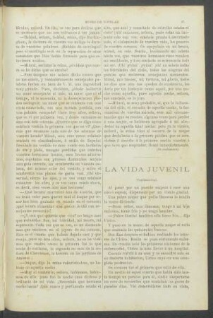 La vida juvenil