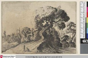 [Auf dem Wege zu einer Anhöhe rastende Männer; Two Figures before a Large Tree on a Knoll before a Wooded Landscape]