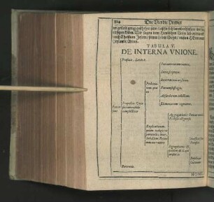 Tabula V. De Interna Vnione.