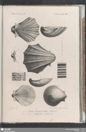 Pl. 444