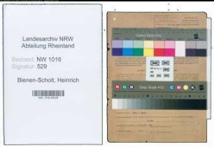 Entnazifizierung Heinrich Bienen-Scholt , geb. 25.04.1897 (Bauer)