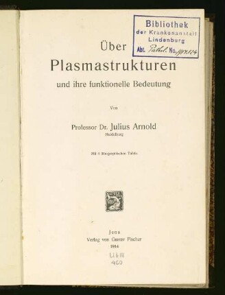 Über Plasmastrukturen und ihre funktionelle Bedeutung