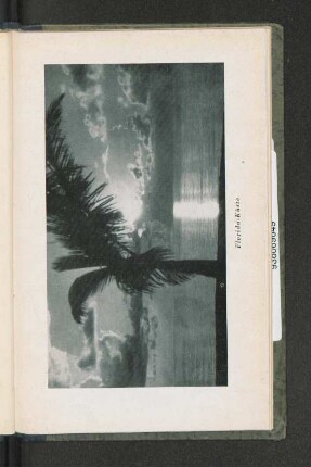 Florida-Küste.