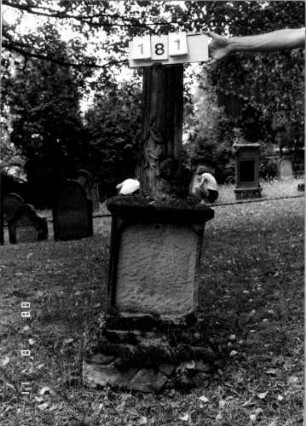 Grabstein 181
